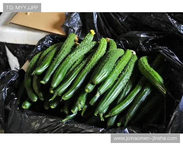 永乐高国际娱乐注册流程详解，新手玩家快速入门的完整操作步骤指南